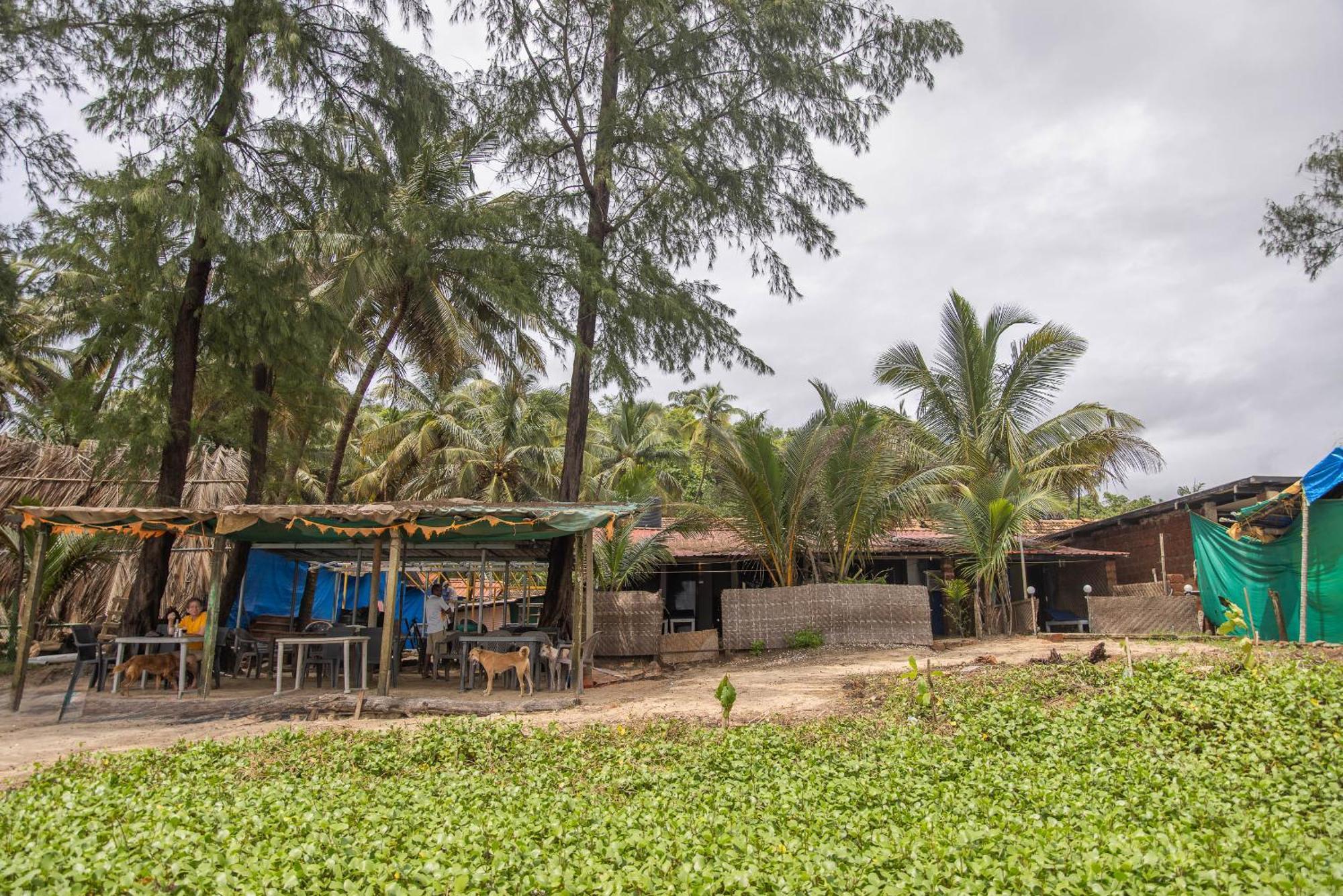 Talpona Beach Studios Canacona Ngoại thất bức ảnh